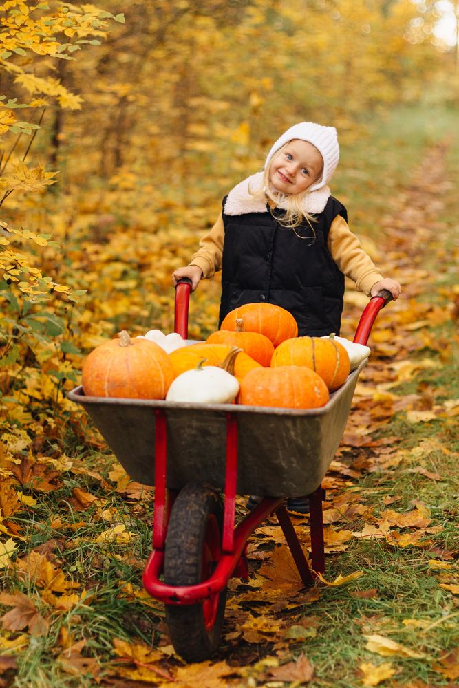 Photograph by Светлана Евдакова