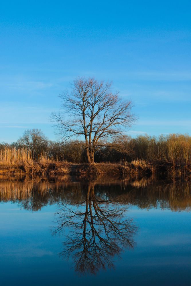 Photograph by Анна Янчилина
