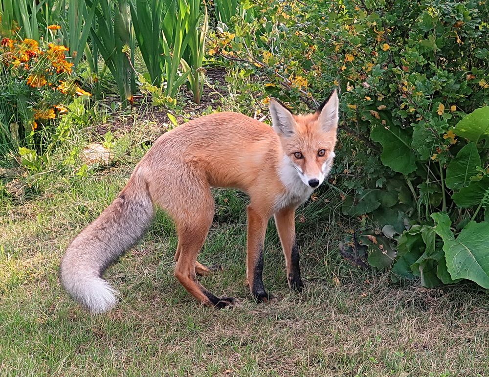 Photograph by Нина