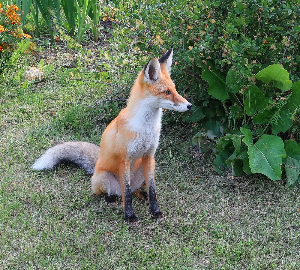 Photograph by Нина