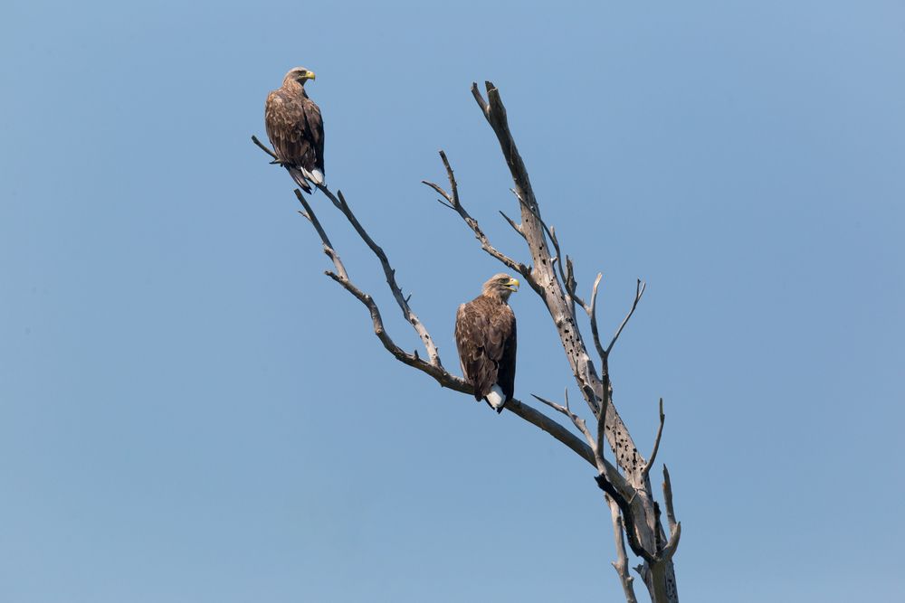 Фотография автора Гарус Виктория