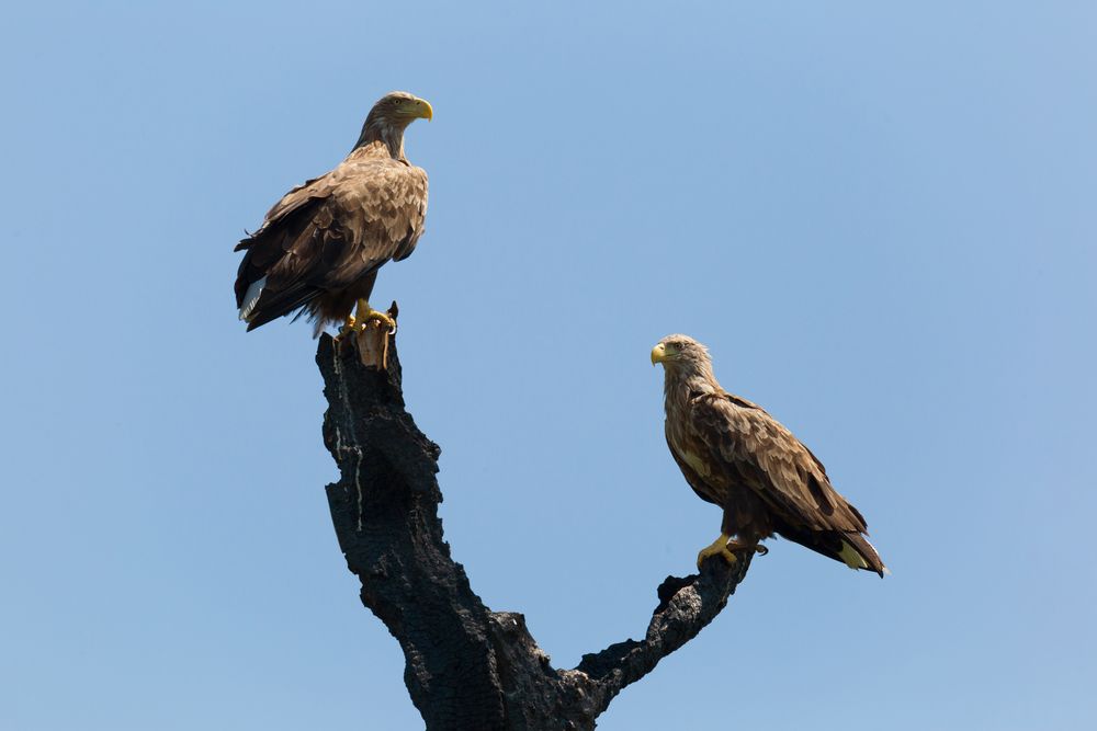 Фотография автора Гарус Виктория
