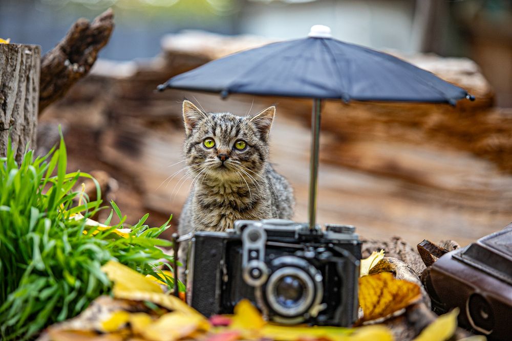 Photograph by Лупина Михаил