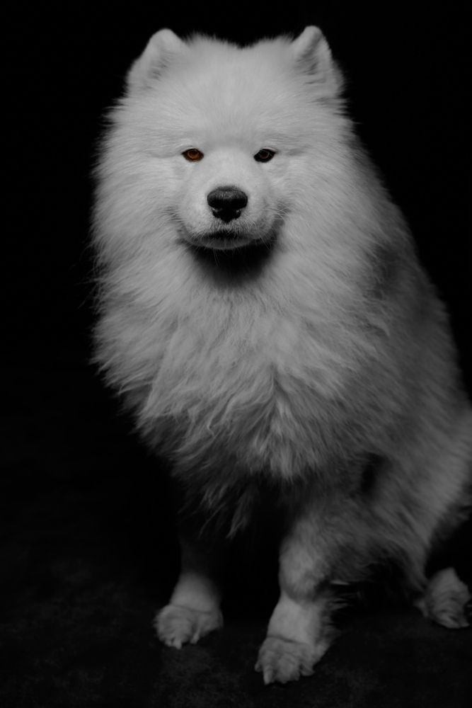 Photograph by TOTORO