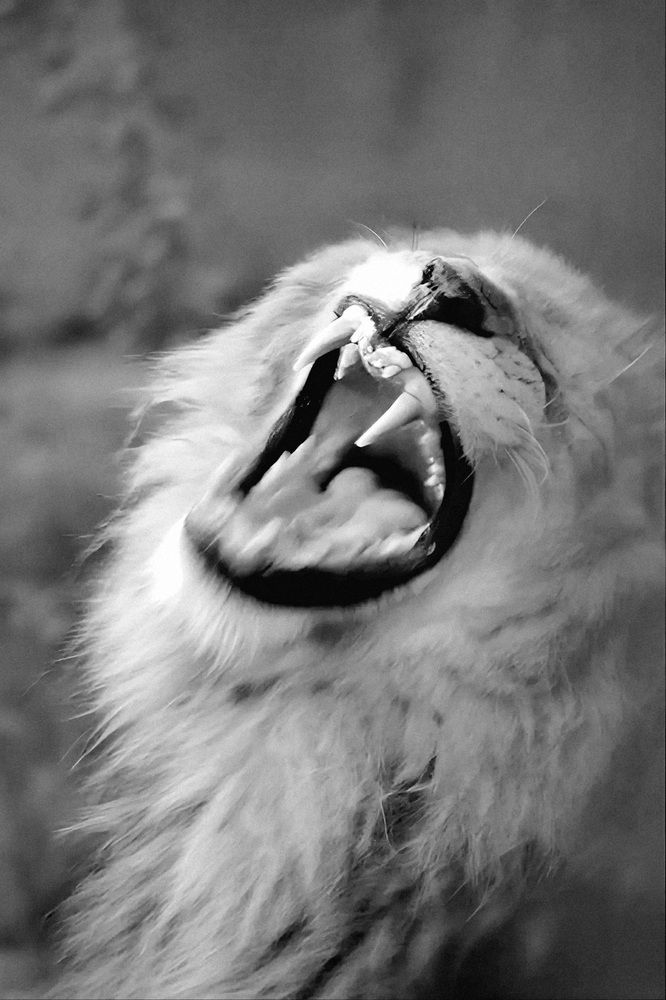 Photograph by Avi Behar