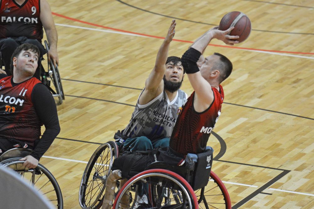 Фотография автора Елена Максимова