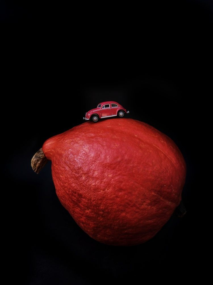 Фотография автора JELENA VASIC