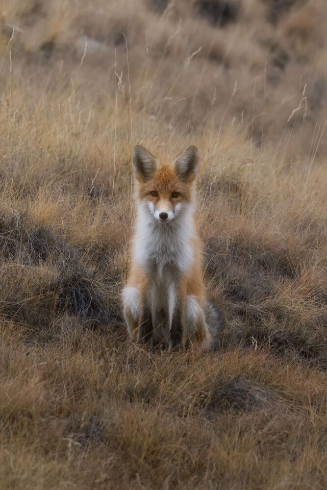 Фотография автора Гарус Виктория