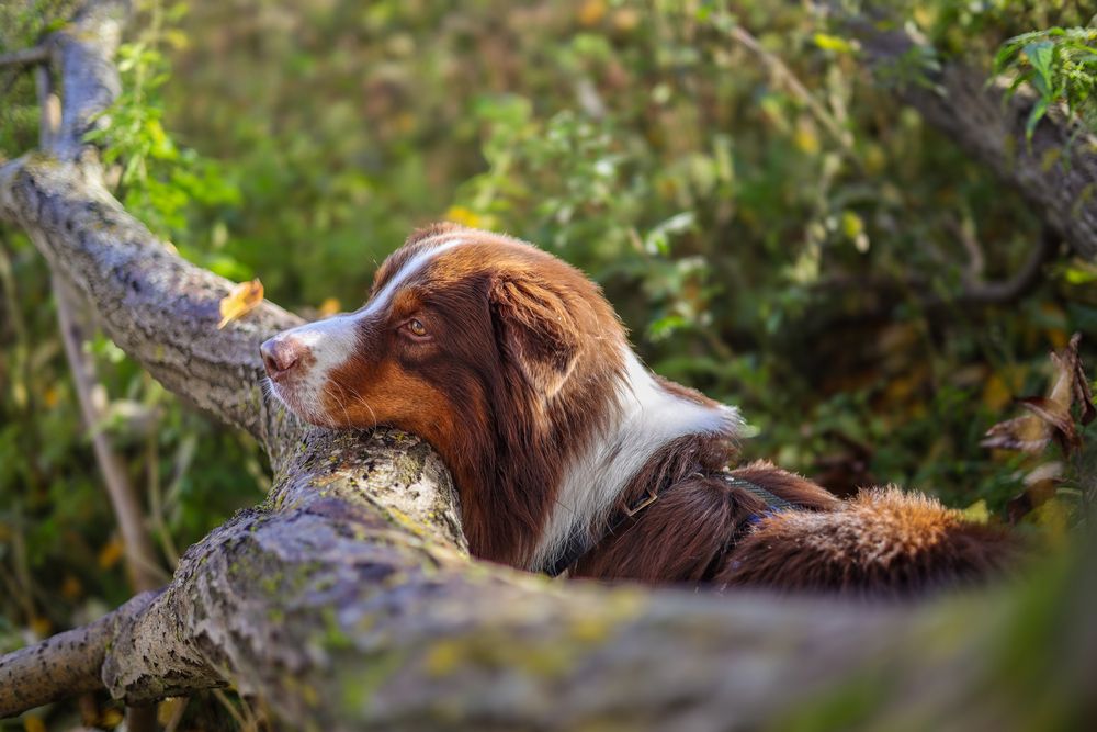Photograph by Анастасия Ануфриева