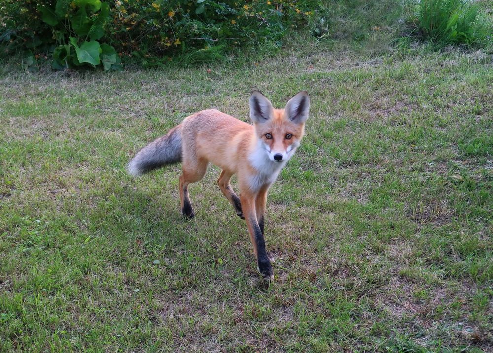 Photograph by Нина