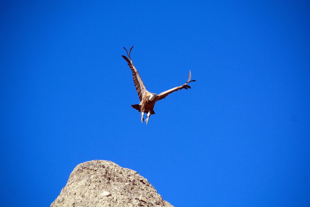 Между небом и землей