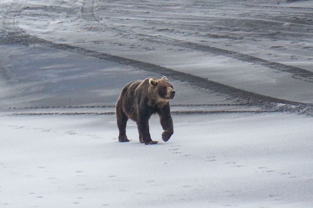 Photograph by Ксения Дудкина