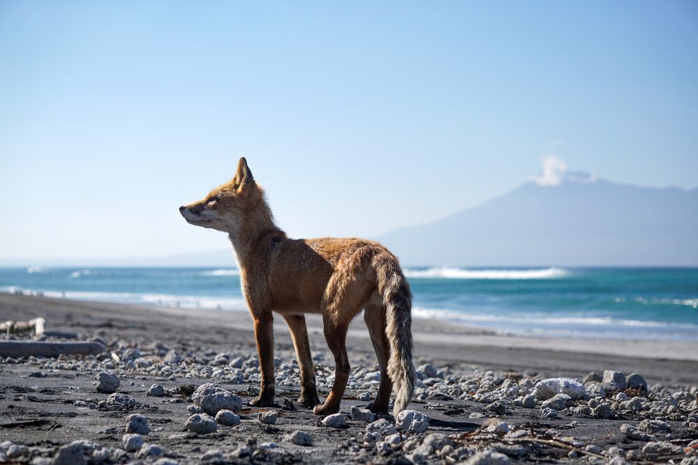 Photograph by Ксения Дудкина