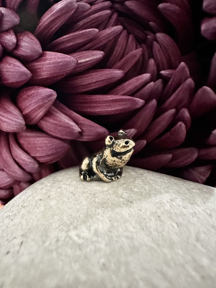 Photograph by Svetlana Rashidova