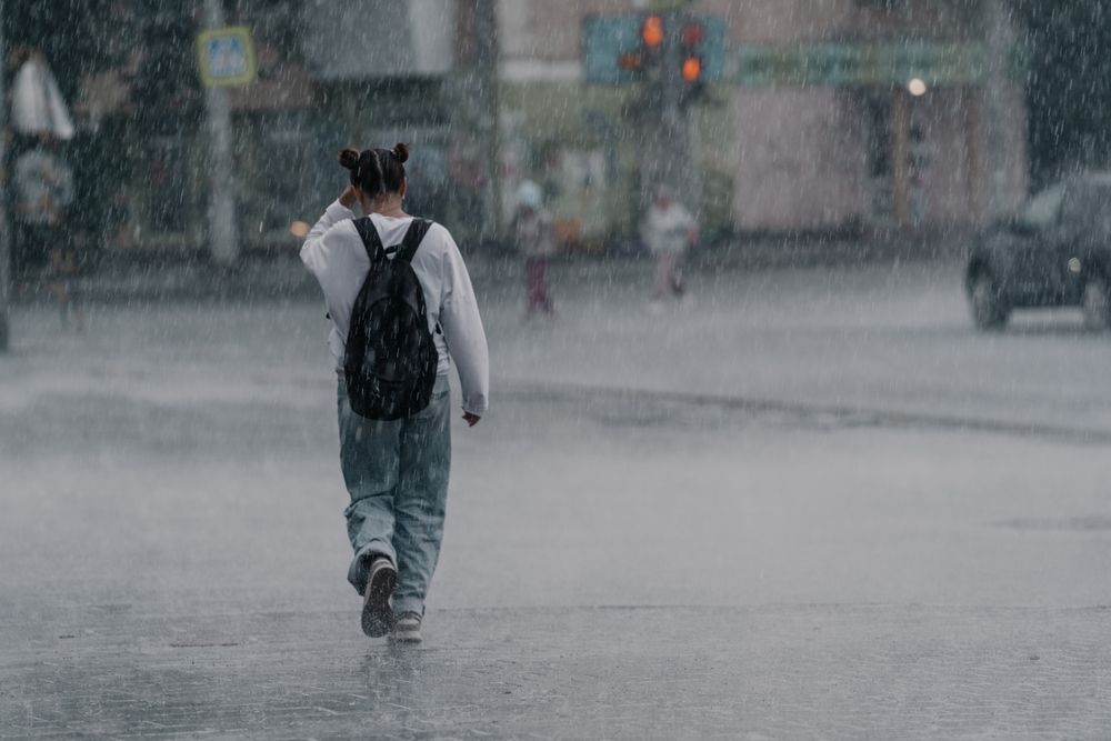 Summer rain/летний дождь