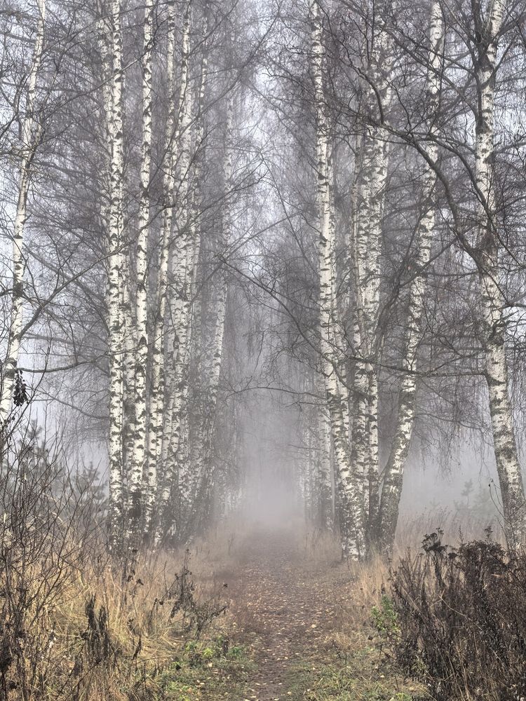 Photograph by Елена Охапкина