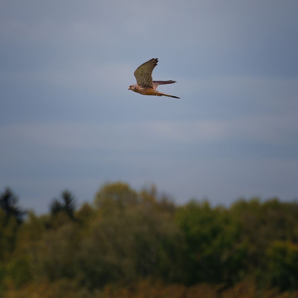 Photograph by Загруев Михаил