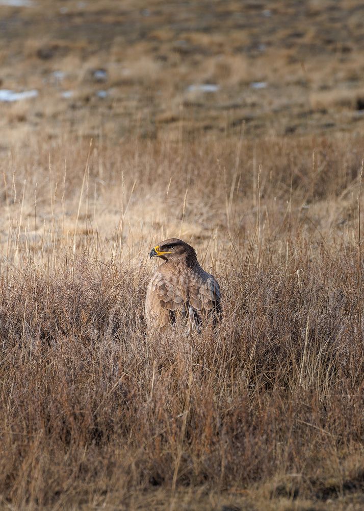 Photograph by Загруев Михаил