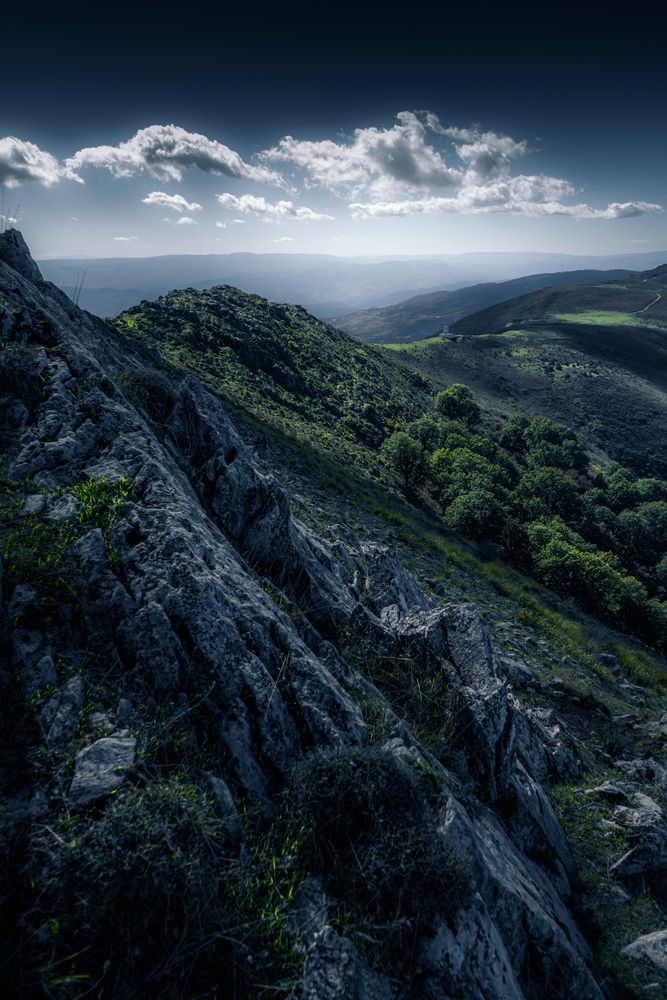 Where Earth Meets Sky