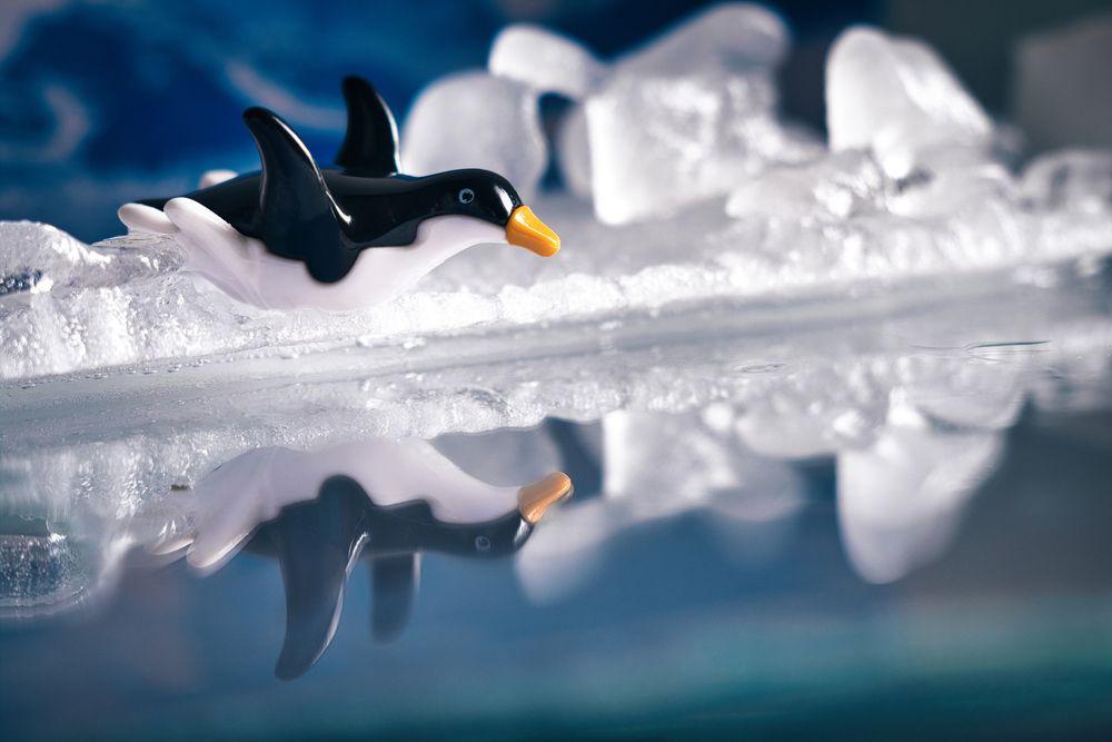 Photograph by Анна Опанасенко