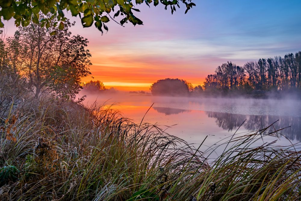 Photograph by Алексей Цыганов