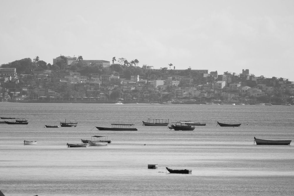 Photograph by Alexandre Pimentel