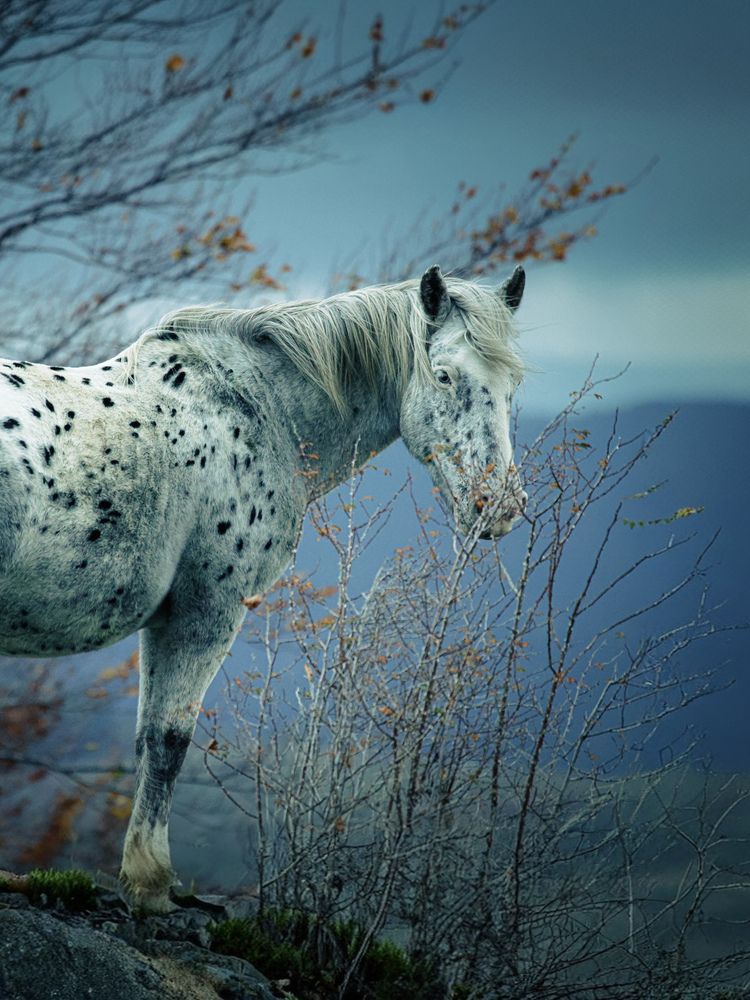 Photograph by Giuseppe Catalano