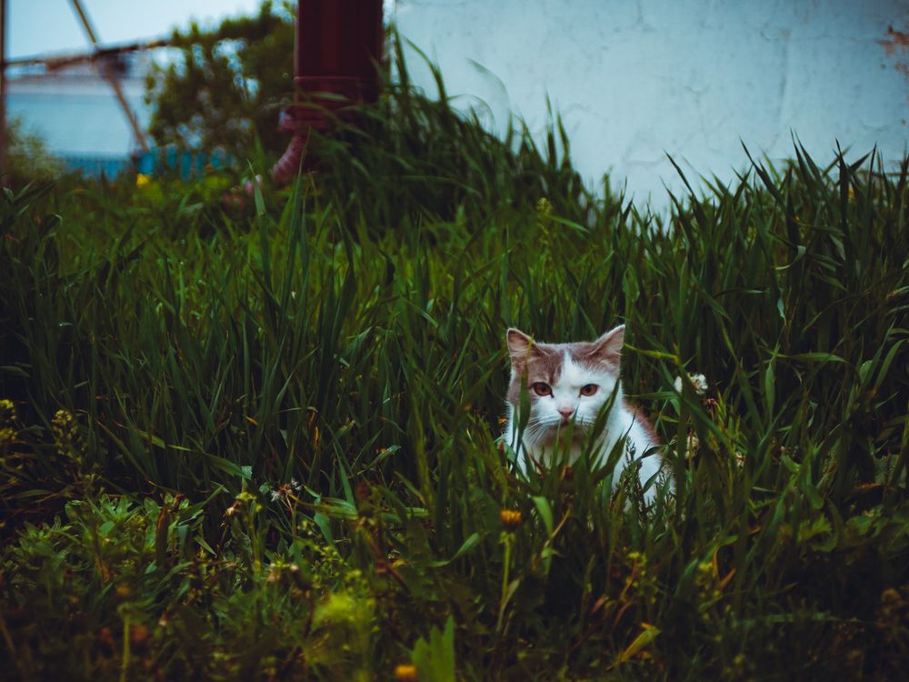 Photograph by Остапенко Юрий