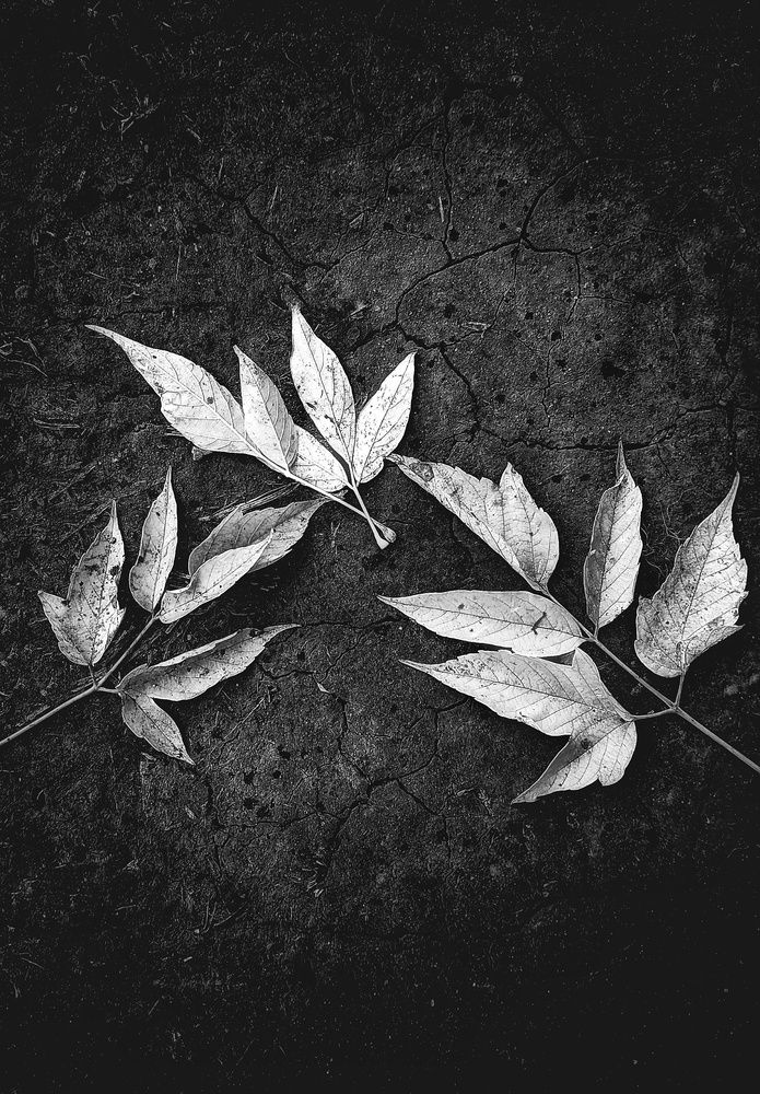Photograph by Андрей Вольф