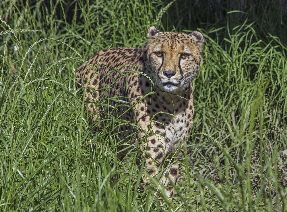 Фотография автора Marina Martorelli