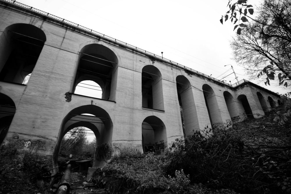 Фотография автора Роман Савин