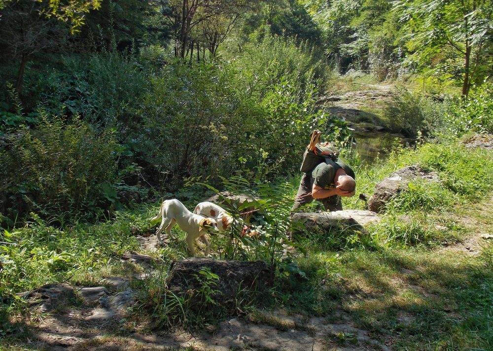 Photograph by Dragoslav Macanović