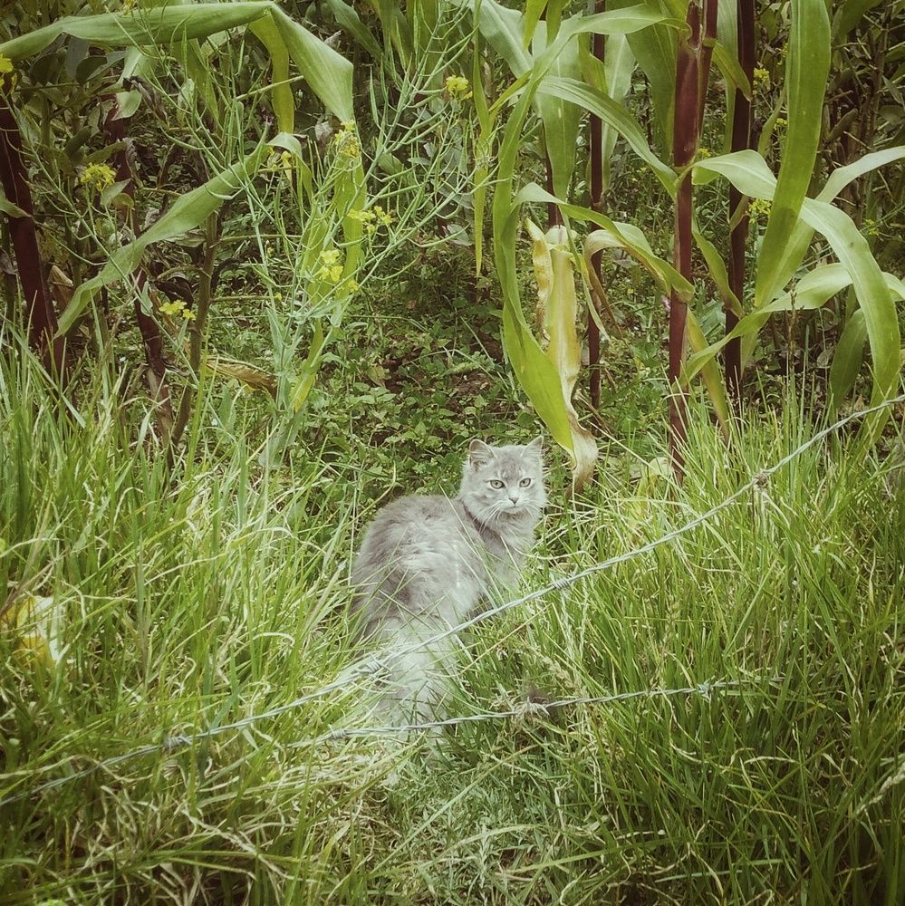 Photograph by Daniel Br