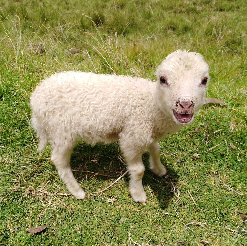 Photograph by Daniel Br