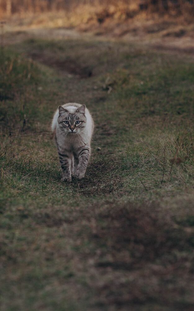 Фотография автора Ольга Степанова