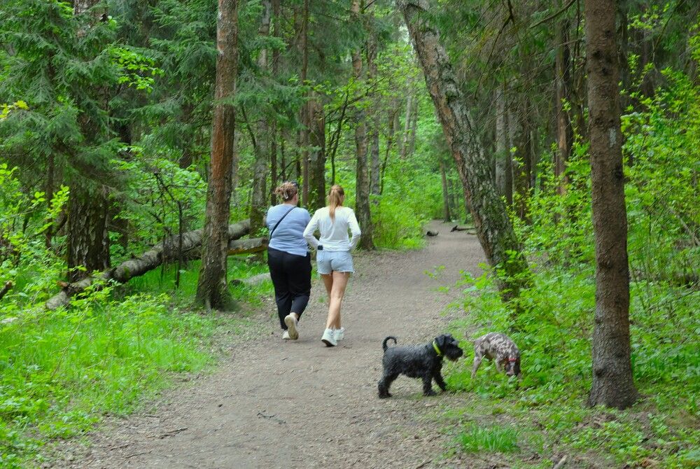 Photograph by Гагик Саркисян