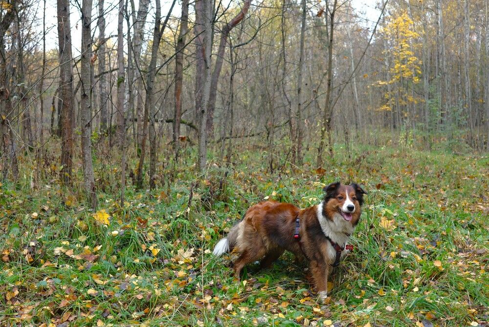 Photograph by Гагик Саркисян