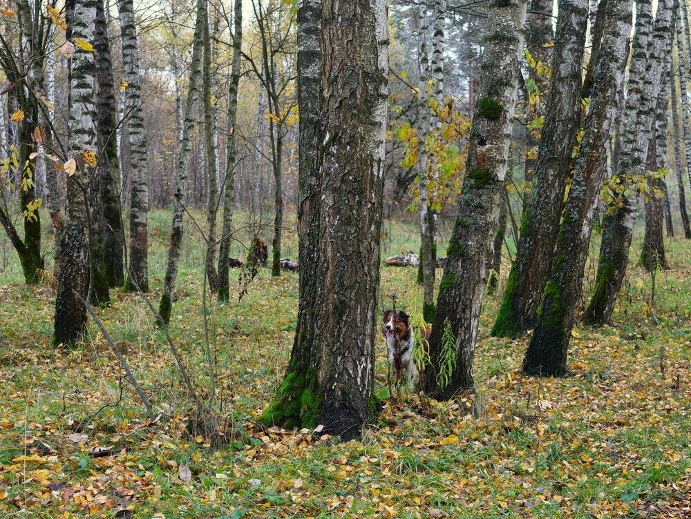 Photograph by Гагик Саркисян