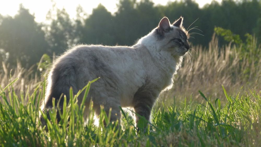 Photograph by Егор Чинарев