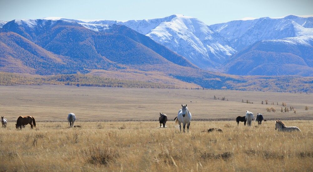 Photograph by Маринова Марина