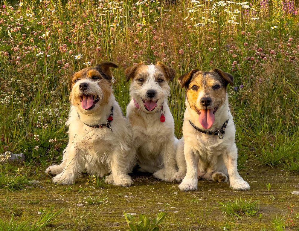 Photograph by Елена Данченко