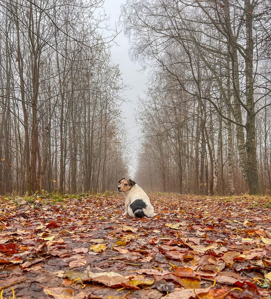 Photograph by Елена Данченко