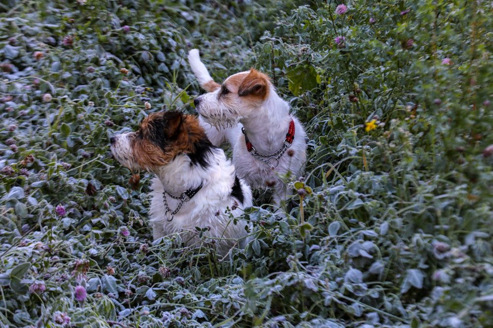 Photograph by Елена Данченко