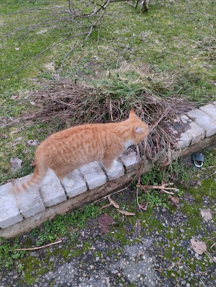 Photograph by Елена Казаренко