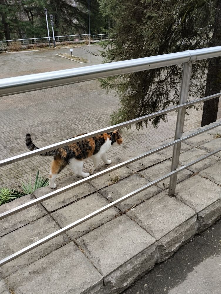 Photograph by Елена Казаренко