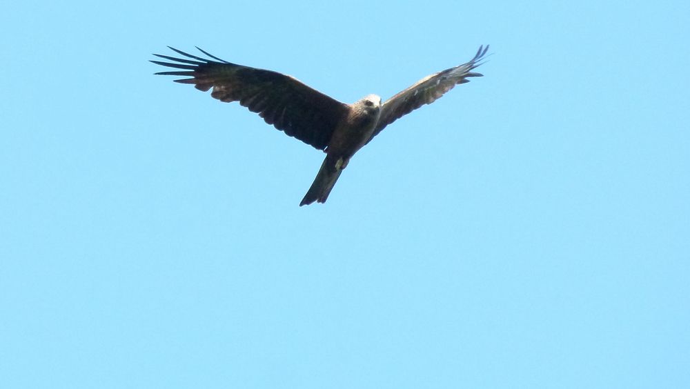 Photograph by Егор Чинарев