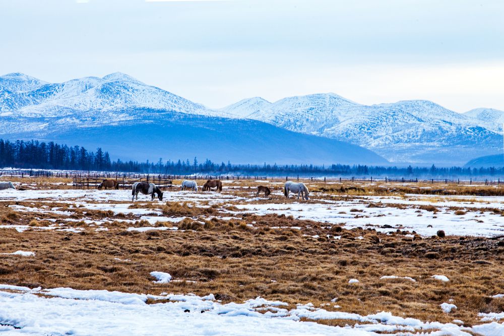 Весенней порой.