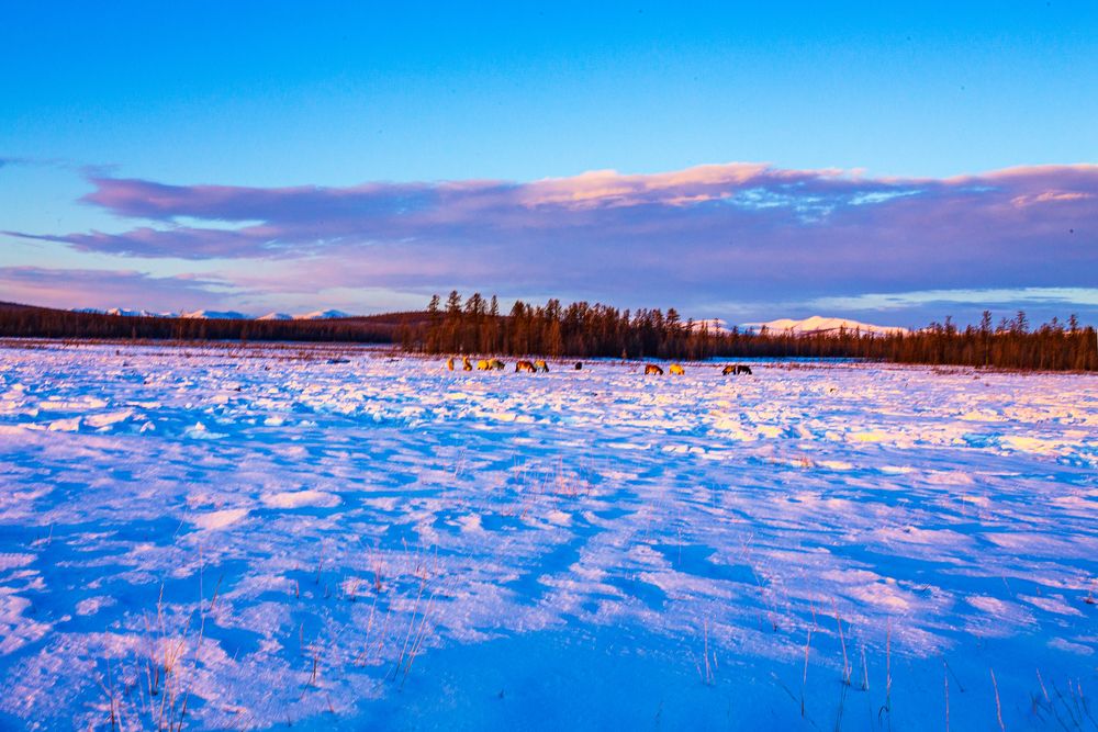 Ранним весенним утром.
