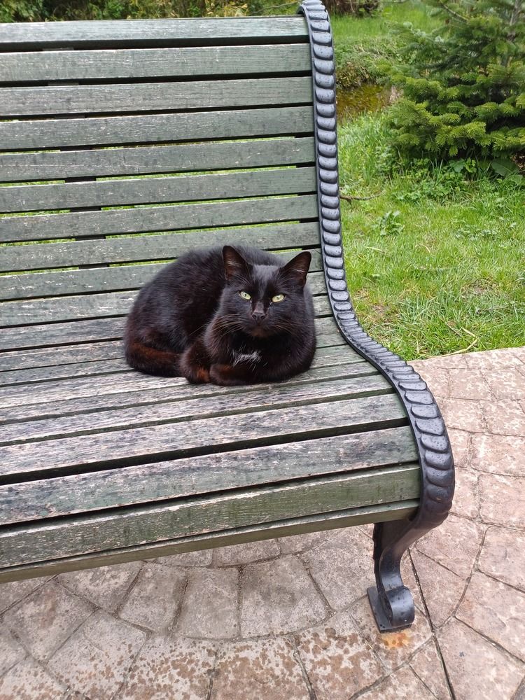 Photograph by Елена Казаренко