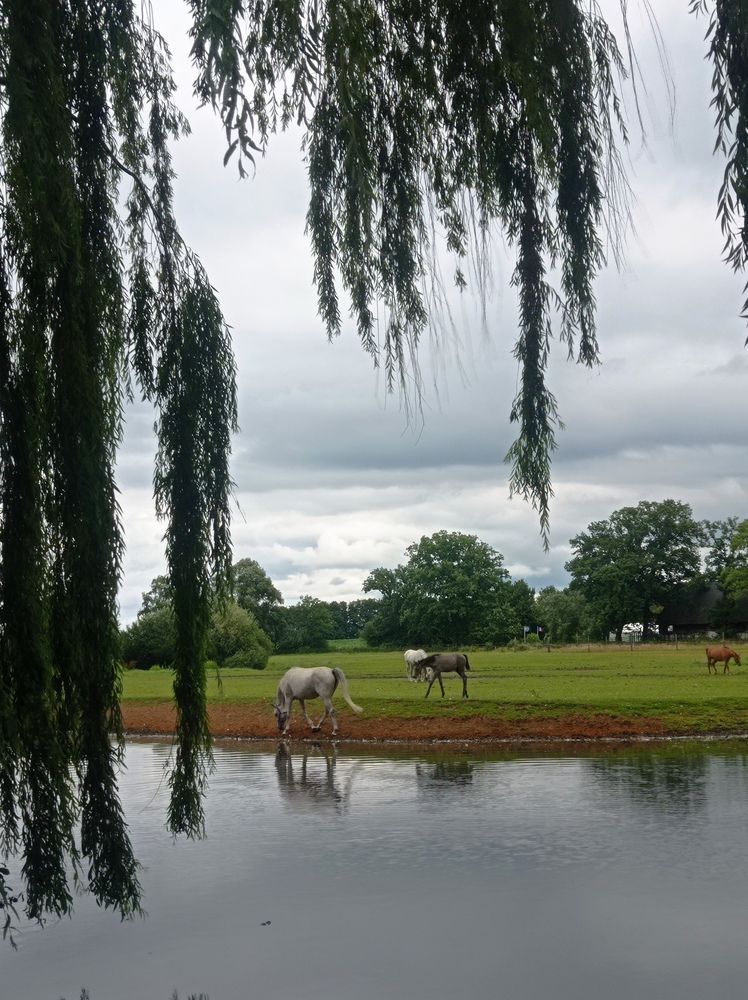 Фотография автора Анастасия Короленко